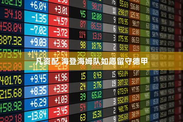 凡资配 海登海姆队如愿留守德甲