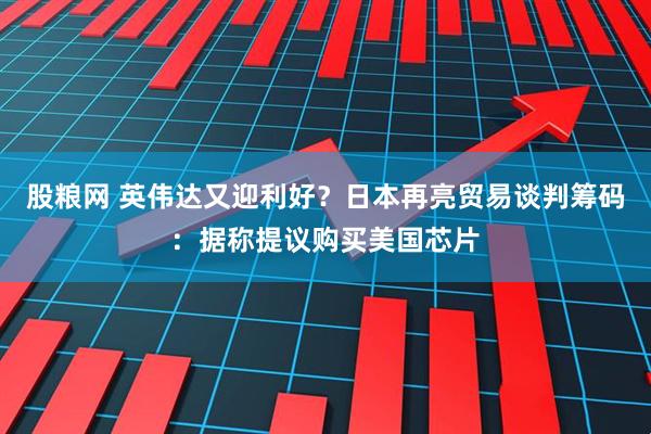 股粮网 英伟达又迎利好？日本再亮贸易谈判筹码：据称提议购买美国芯片