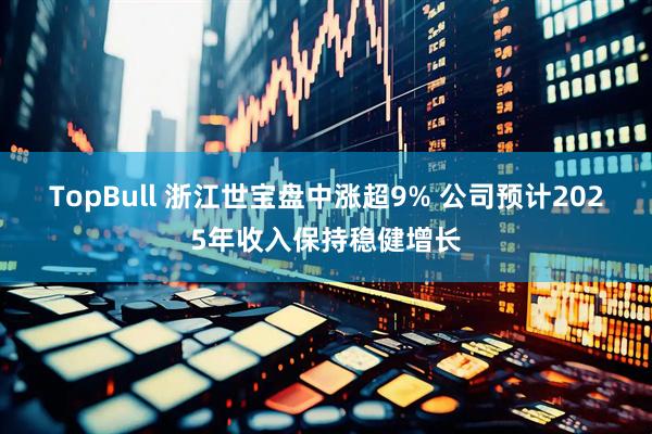 TopBull 浙江世宝盘中涨超9% 公司预计2025年收入保持稳健增长