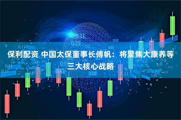 保利配资 中国太保董事长傅帆：将聚焦大康养等三大核心战略