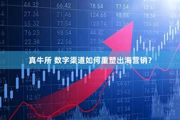 真牛所 数字渠道如何重塑出海营销？