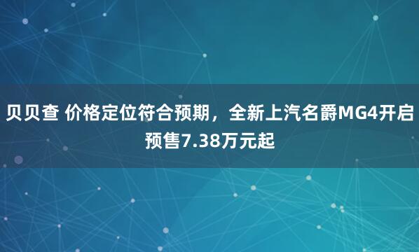 贝贝查 价格定位符合预期，全新上汽名爵MG4开启预售7.38万元起