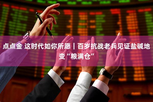 点点金 这时代如你所愿｜百岁抗战老兵见证盐碱地变“粮满仓”